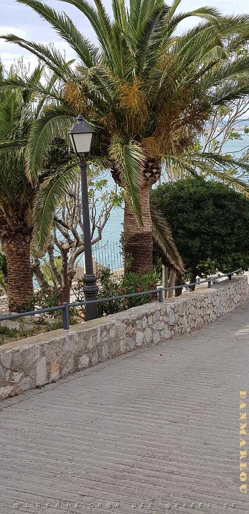 HOMMAGE A N.D. DE SANTA CRUZ A DALIAS DU 7 AU 10 JUIN 2019 (9).jpg